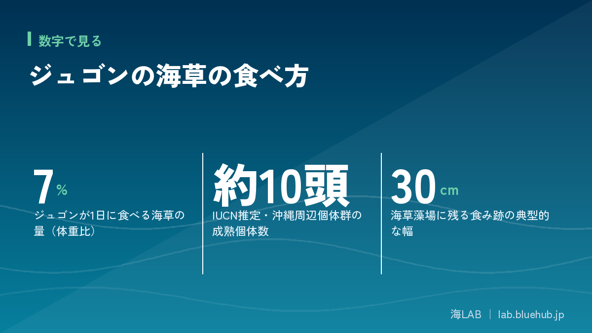 この記事の要点となる3つの数字をまとめた図版