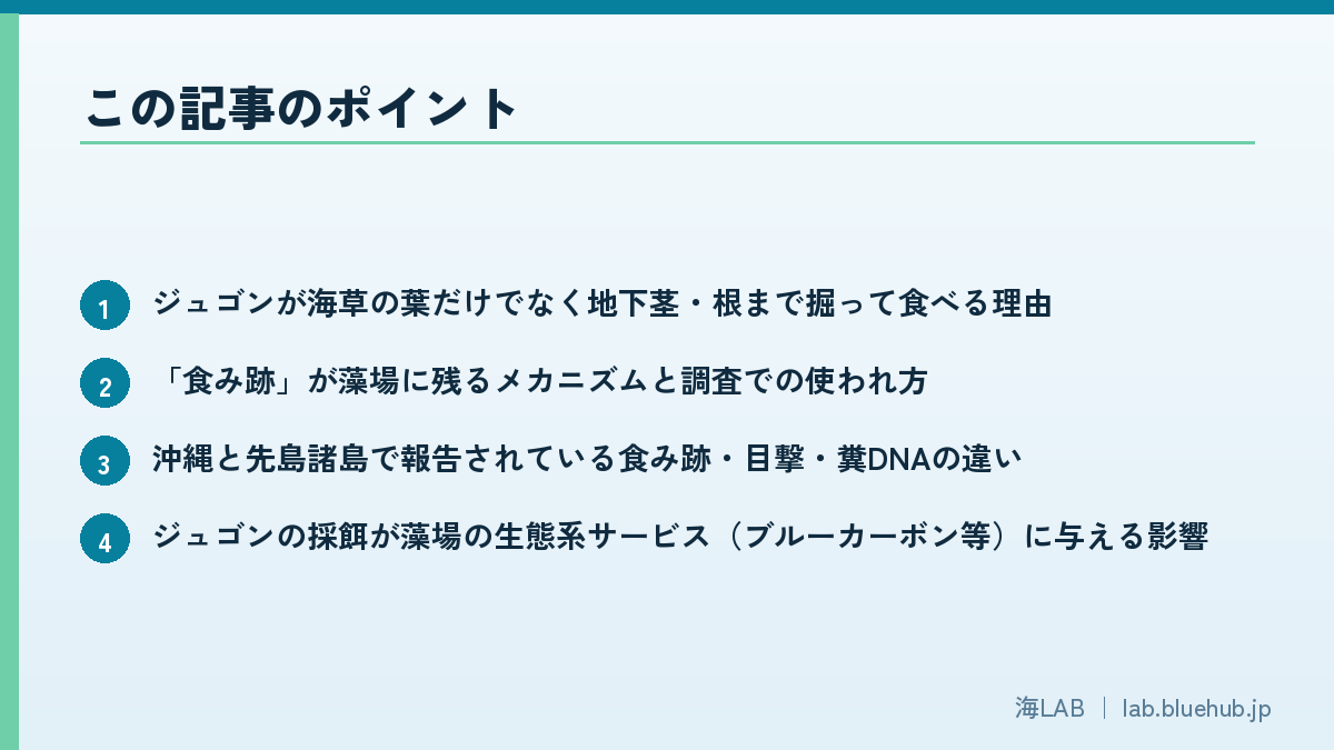 この記事のポイントを箇条書きでまとめた図版
