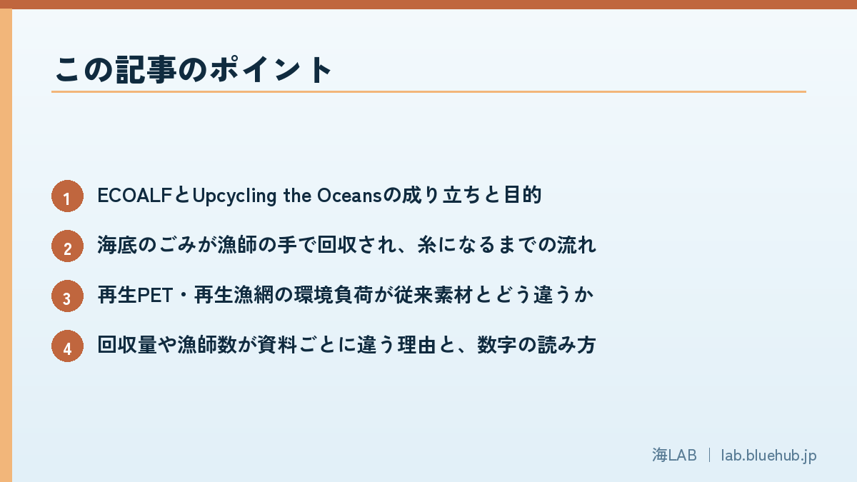 この記事のポイントを箇条書きでまとめた図版