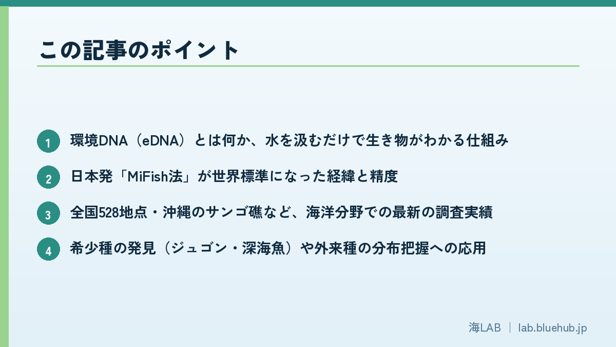 この記事のポイントを箇条書きでまとめた図版
