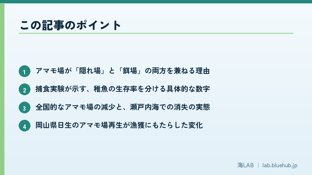 この記事のポイントを箇条書きでまとめた図版