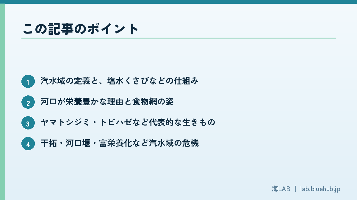 この記事のポイントを箇条書きでまとめた図版