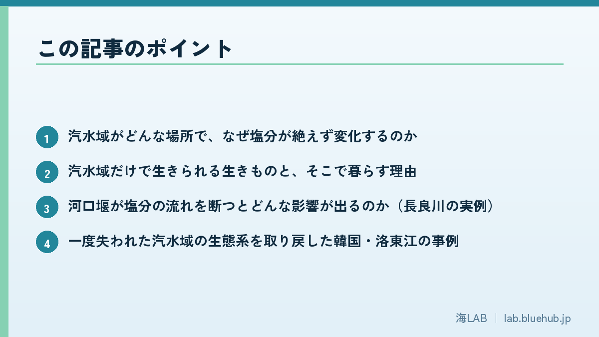 この記事のポイントを箇条書きでまとめた図版