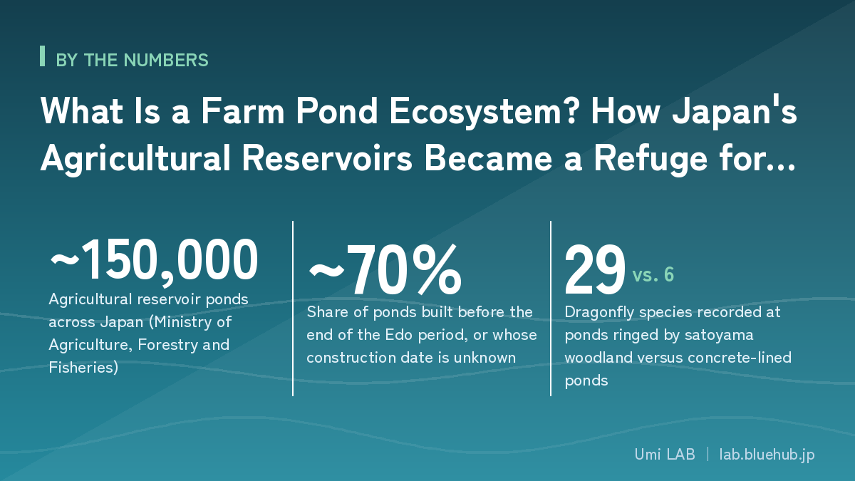 Chart summarising the three key figures on What Is a Farm Pond Ecosystem? How Japan's Agricultural Reservoirs Became a Refuge for Wildlife — and Why They Are Disappearing