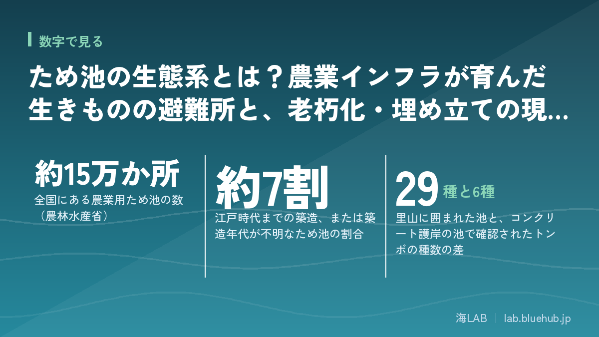 ため池の生態系とは?農業インフラが育んだ生きものの避難所と、老朽化・埋め立ての現実の要点となる3つの数字をまとめた図版
