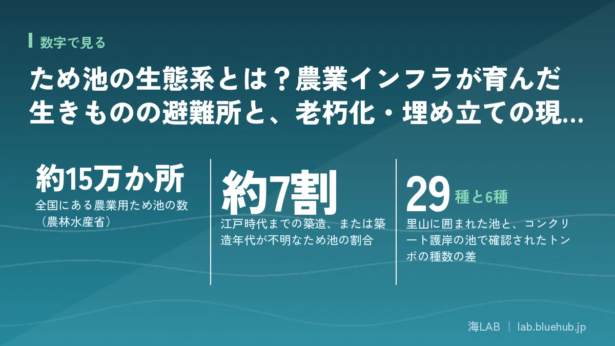 ため池の生態系とは?農業インフラが育んだ生きものの避難所と、老朽化・埋め立ての現実の要点となる3つの数字をまとめた図版