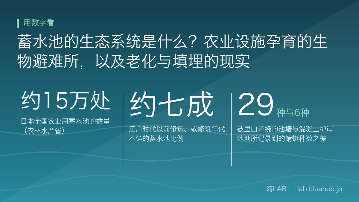 汇总蓄水池的生态系统是什么？农业设施孕育的生物避难所，以及老化与填埋的现实三个关键数字的图示