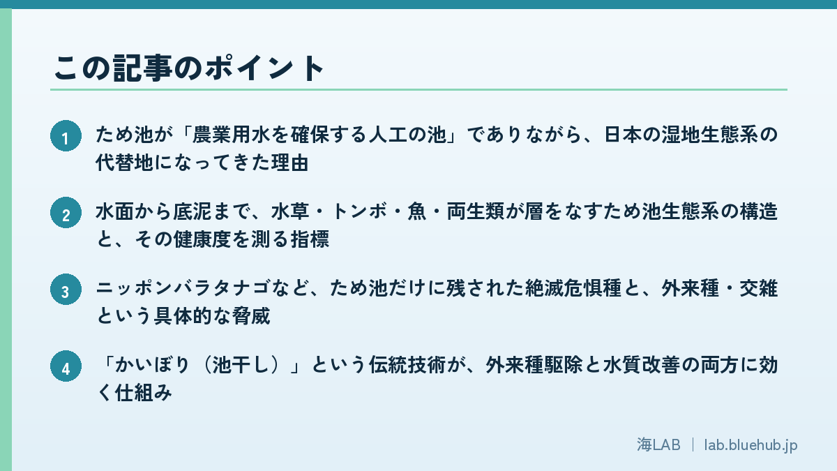 この記事のポイントを箇条書きでまとめた図版