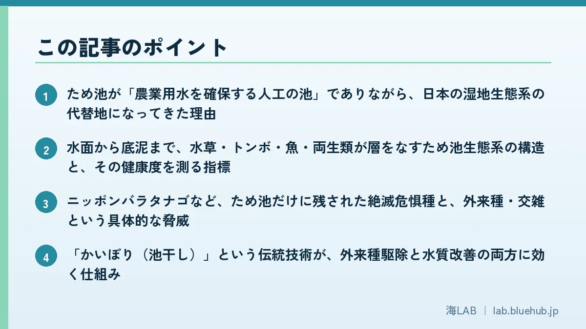 この記事のポイントを箇条書きでまとめた図版