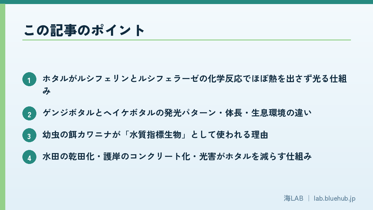 この記事のポイントを箇条書きでまとめた図版
