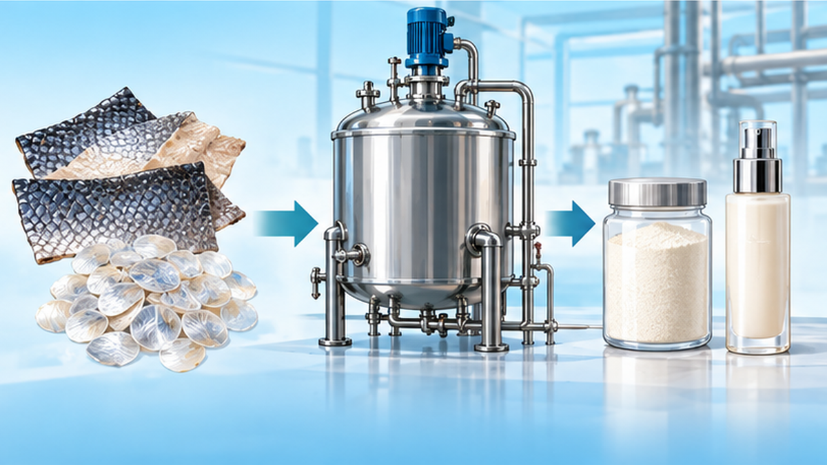 Diagram showing fish skin and scales turning into collagen peptide powder and cosmetics