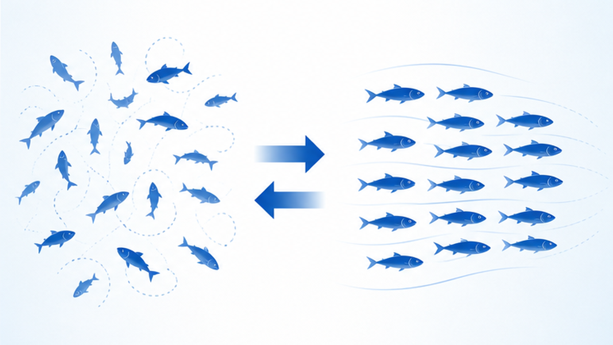 shoalとschoolの違いを示す図解。左はバラバラの向きの魚、右は向きと間隔がそろった魚の隊列