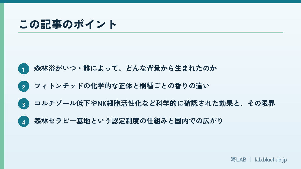 この記事のポイントを箇条書きでまとめた図版