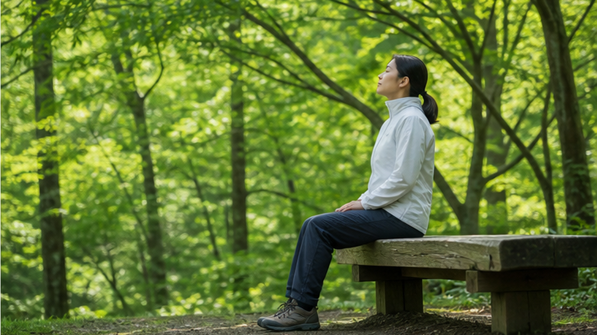 A person sitting on a wooden bench in a quiet forest, breathing deeply while gazing at the greenery
