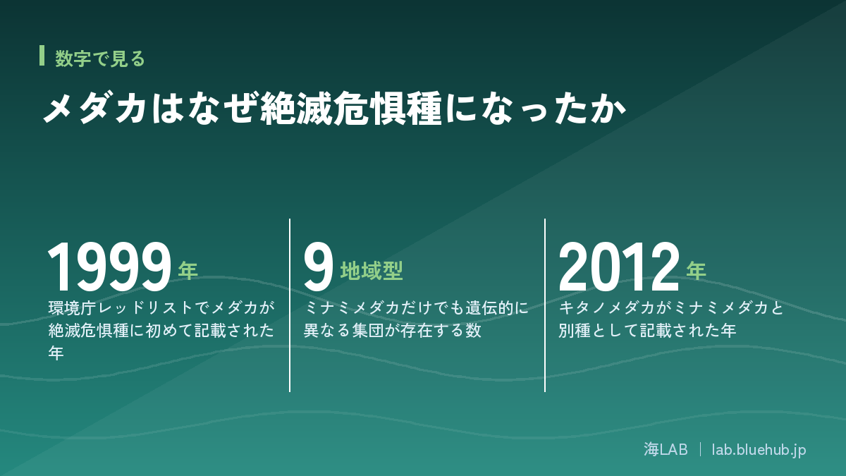 汇总本文三个关键数字的信息图