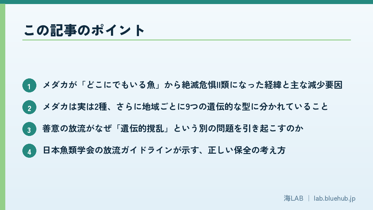 以要点列表形式汇总本文核心内容的信息图