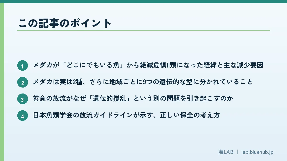 この記事のポイントを箇条書きでまとめた図版