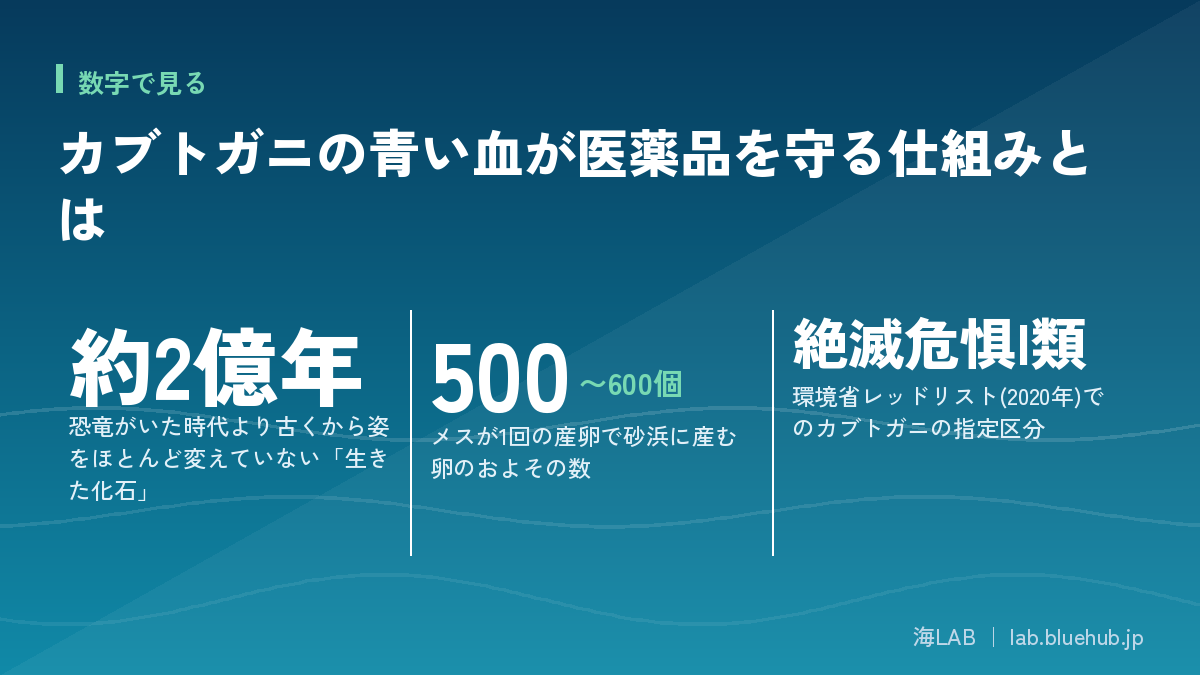 この記事の要点となる3つの数字をまとめた図版