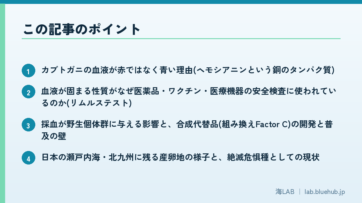 この記事のポイントを箇条書きでまとめた図版