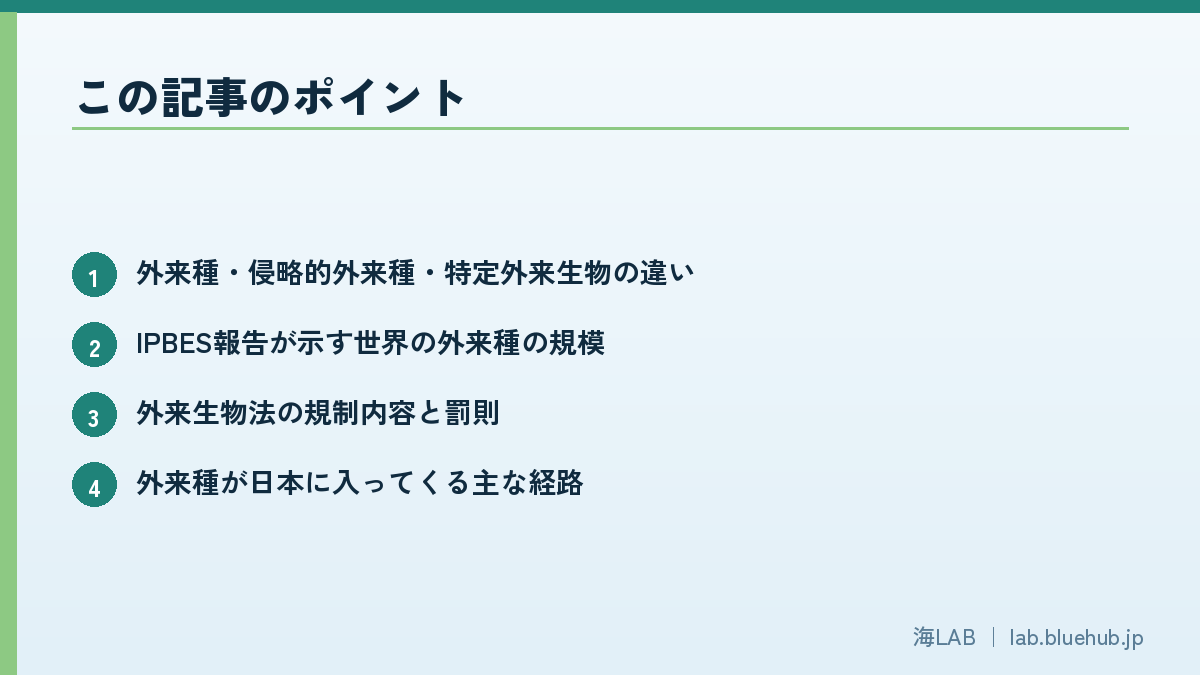 この記事のポイントを箇条書きでまとめた図版