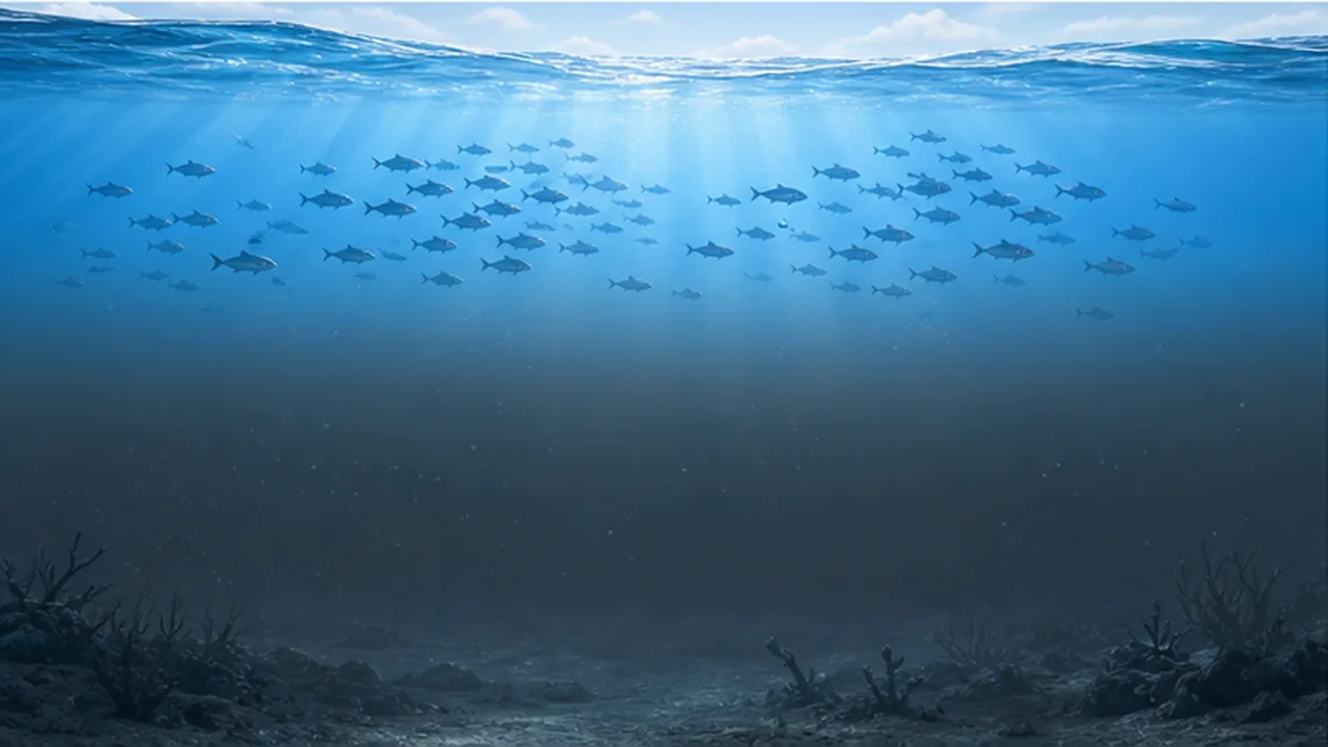海洋の貧酸素化が進む海域を示す模式図