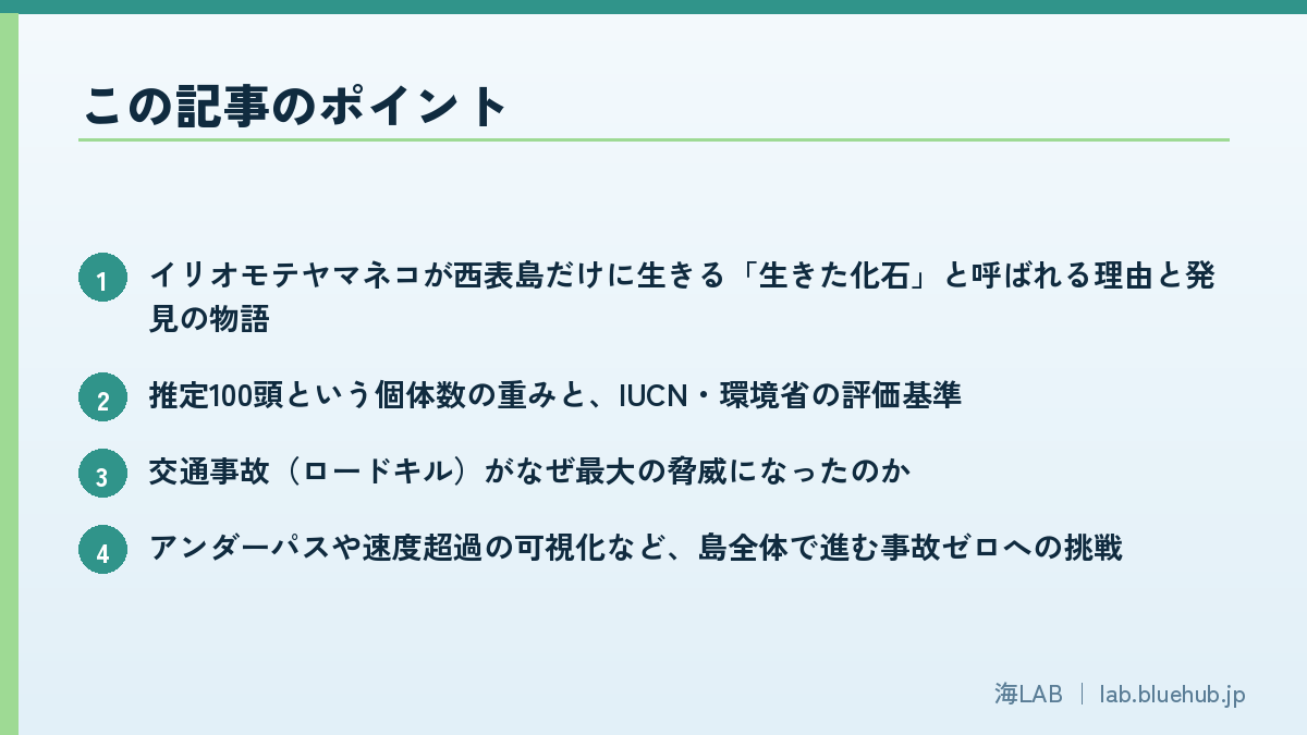この記事のポイントを箇条書きでまとめた図版