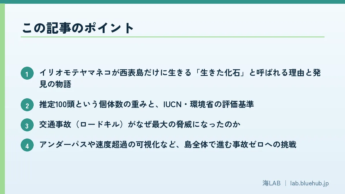 この記事のポイントを箇条書きでまとめた図版
