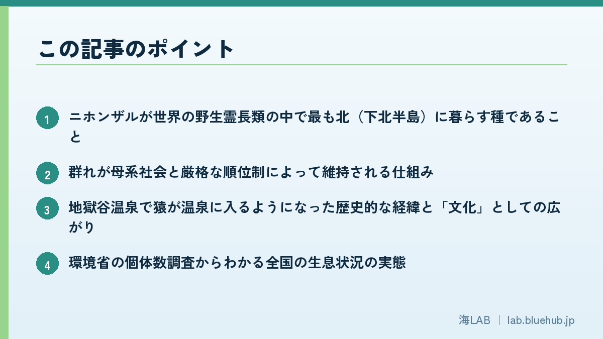 この記事のポイントを箇条書きでまとめた図版