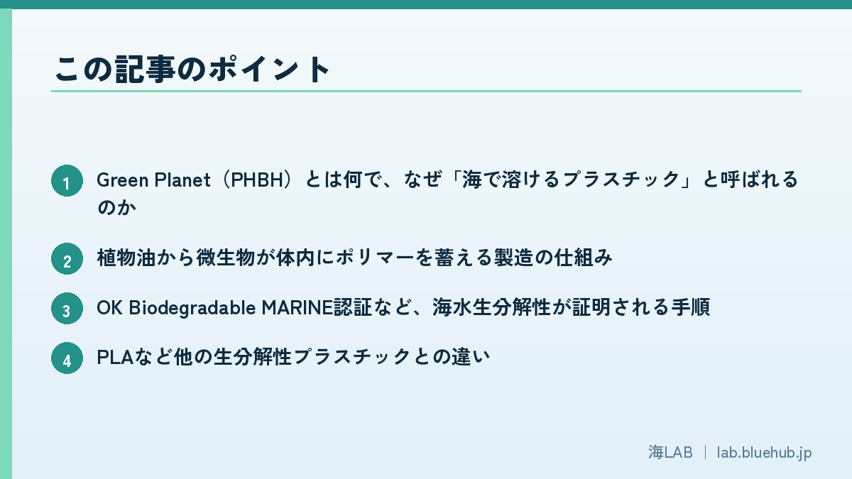 この記事のポイントを箇条書きでまとめた図版