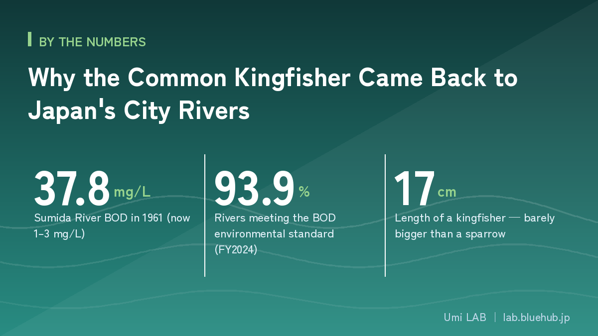 Chart summarising the three key figures on Why the Common Kingfisher Came Back to Japan's City Rivers