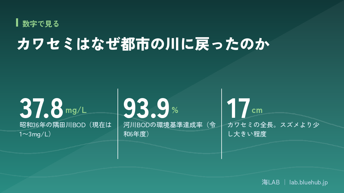 カワセミはなぜ都市の川に戻ったのかの要点となる3つの数字をまとめた図版