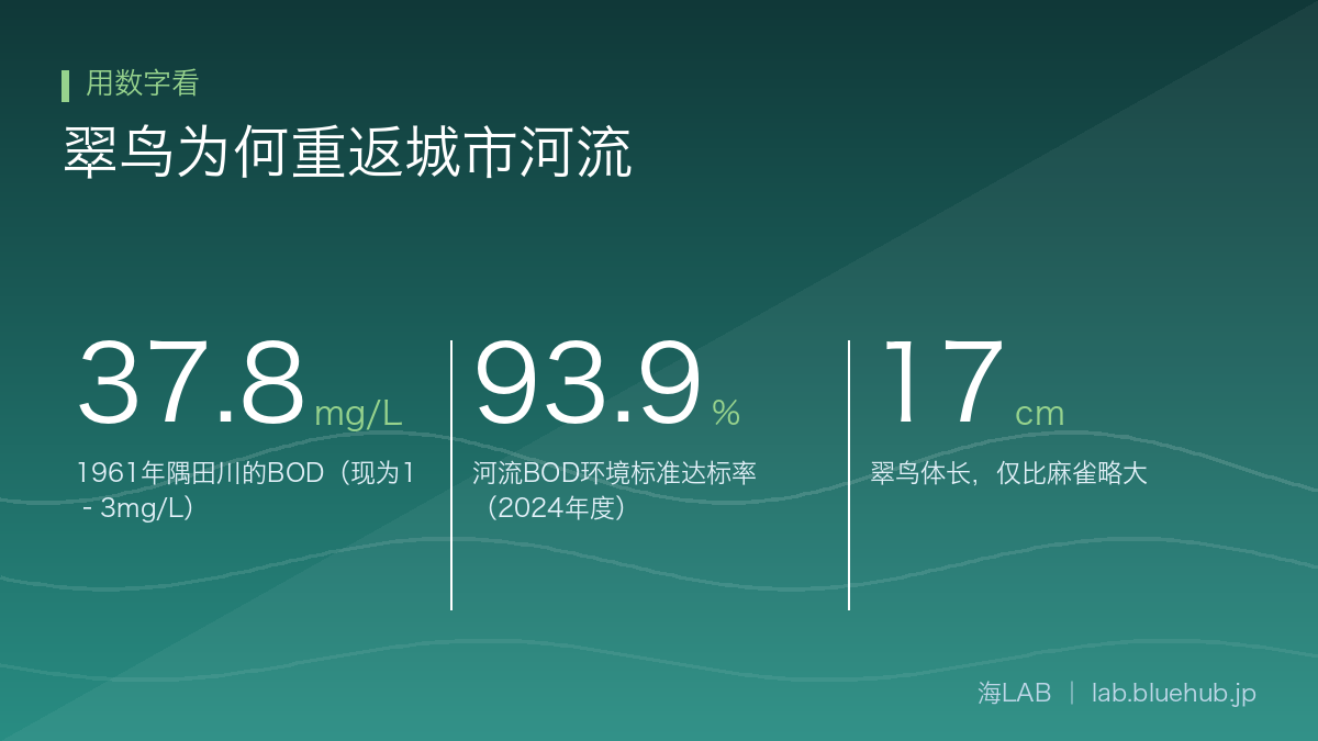 汇总翠鸟为何重返城市河流三个关键数字的图示