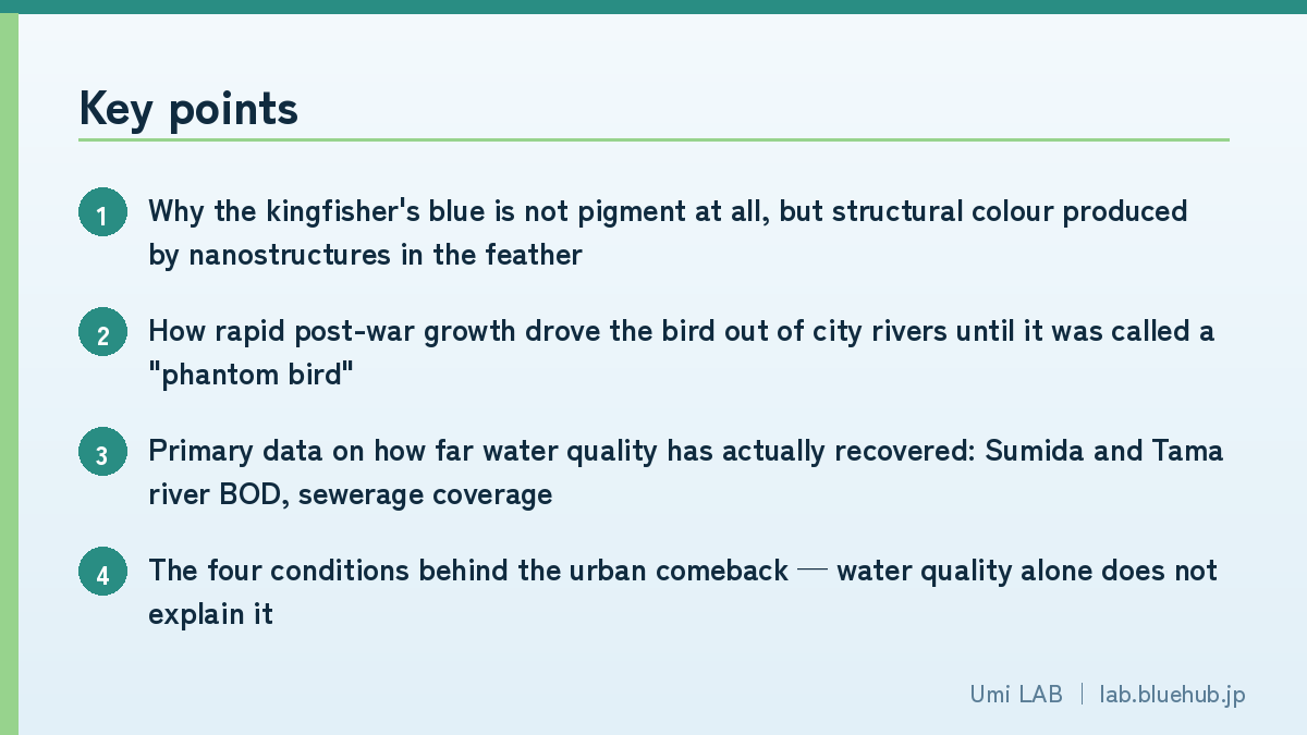 Chart summarising the key points of this article