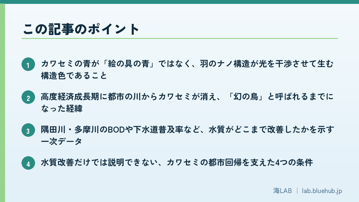 この記事のポイントを箇条書きでまとめた図版