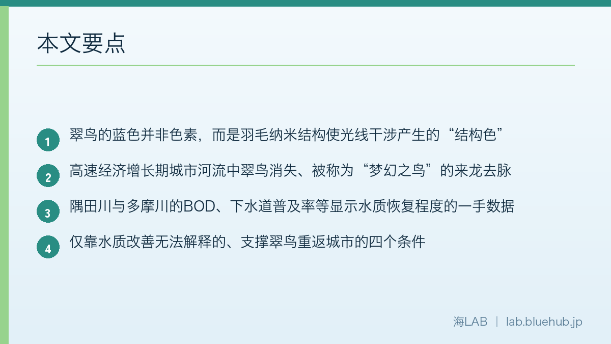 以要点形式汇总本文内容的图示