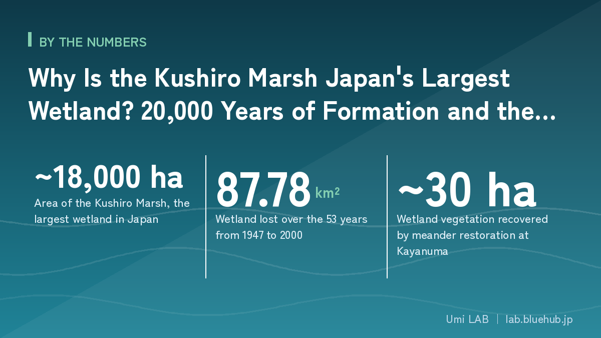 Chart summarising the three key figures on Why Is the Kushiro Marsh Japan's Largest Wetland? 20,000 Years of Formation and the Fight Against Drying and Sediment