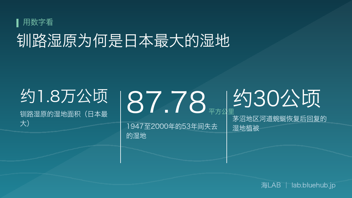汇总钏路湿原为何是日本最大的湿地三个关键数字的图示