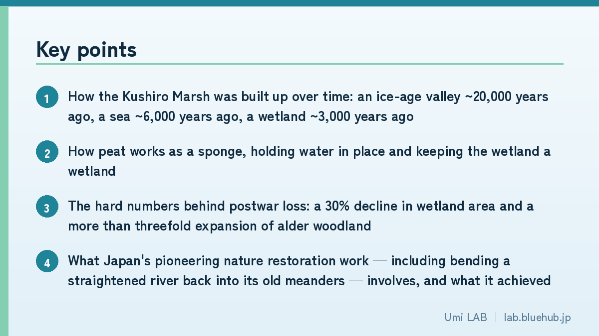 Chart summarising the key points of this article