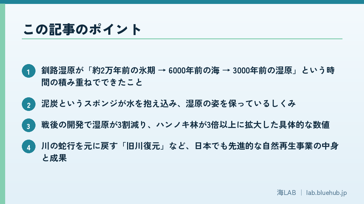 この記事のポイントを箇条書きでまとめた図版