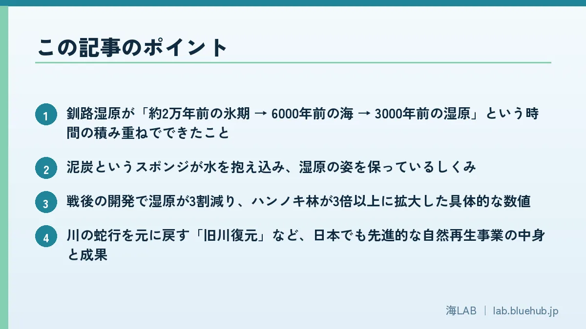 この記事のポイントを箇条書きでまとめた図版