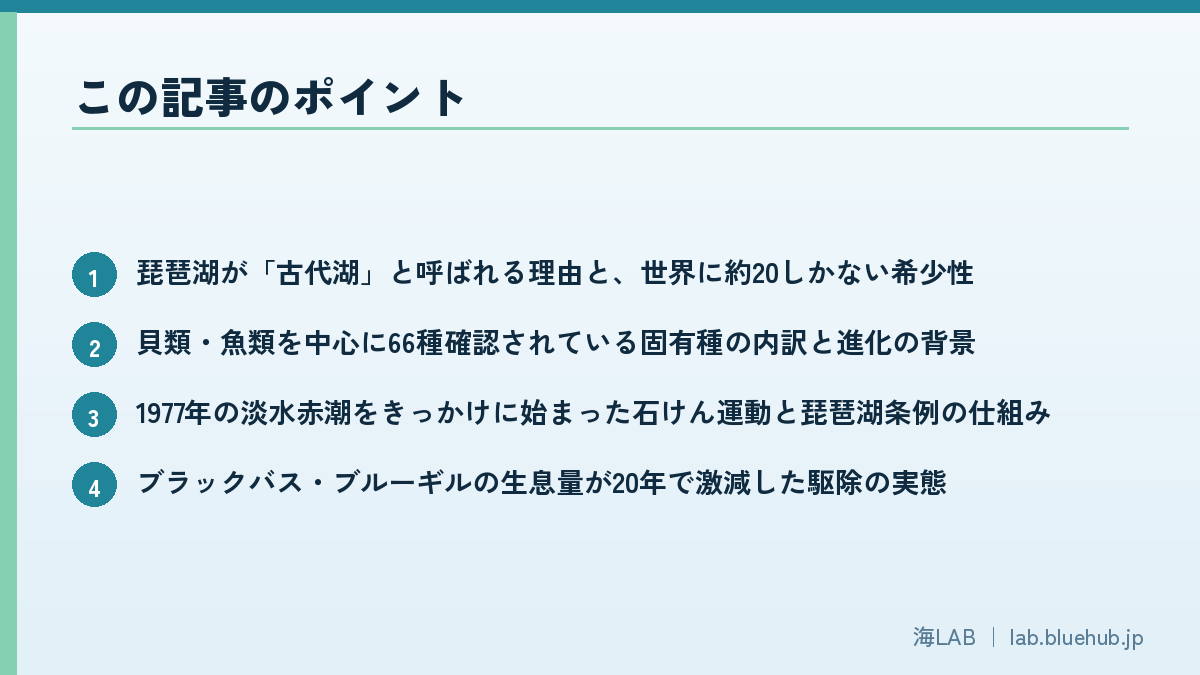 この記事のポイントを箇条書きでまとめた図版