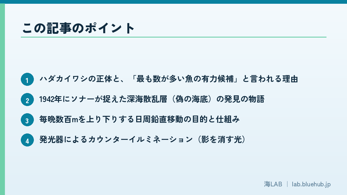 この記事のポイントを箇条書きでまとめた図版