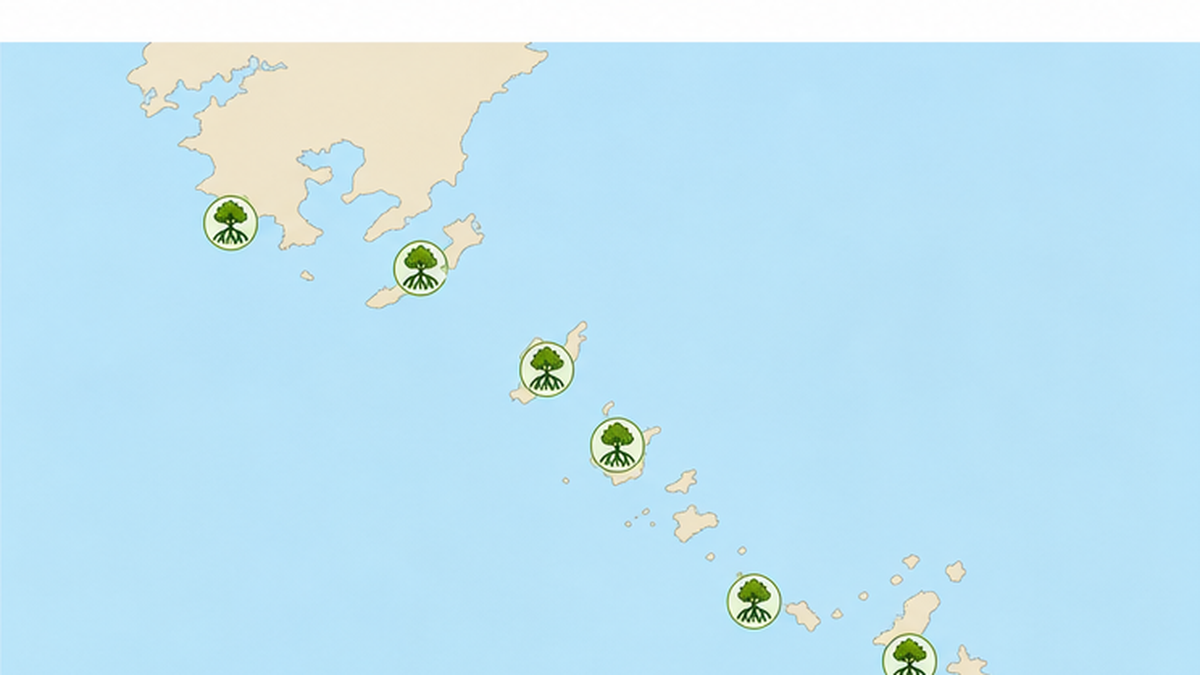Map-style image of the Nansei Islands showing the distribution of Japan's mangroves