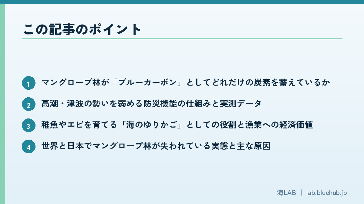 この記事のポイントを箇条書きでまとめた図版