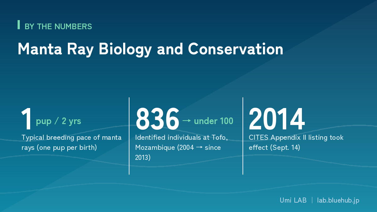 Figure summarizing the three key numbers in this article
