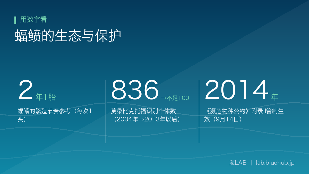 汇总本文三个关键数字的图