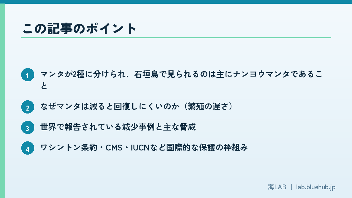 この記事のポイントを箇条書きでまとめた図版
