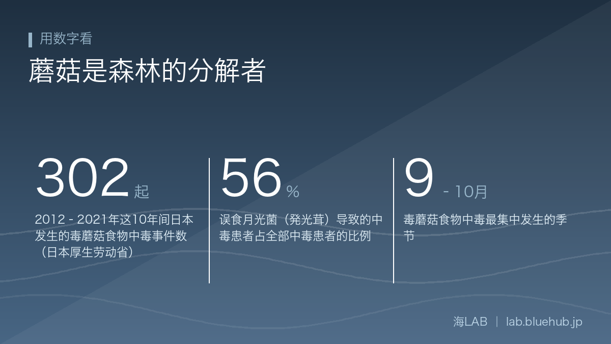 总结本文三个关键数字的图表