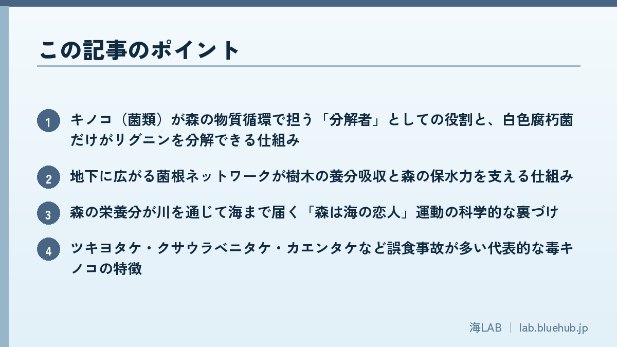 この記事のポイントを箇条書きでまとめた図版