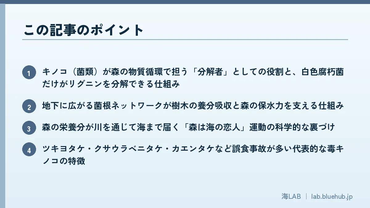 この記事のポイントを箇条書きでまとめた図版